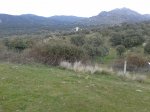 20130209_095309.jpg