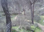 20130209_105348.jpg
