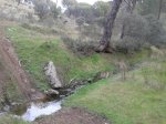 20130209_111031.jpg