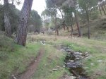 20130209_111044.jpg