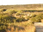 P1060891_800x600.jpg