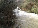 2013-02-09 11.13.47.jpg