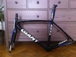 Forot_Mtb_Tcr_1.jpg