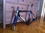 Forot_Mtb_Tcr_2.jpg