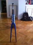 Forot_Mtb_Tcr_4.jpg