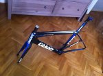 Forot_Mtb_Tcr_5.jpg