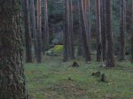 P0000013_redimensionar.JPG