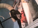 Foto0040.jpg