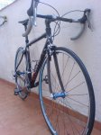 DSC00374-2.jpg