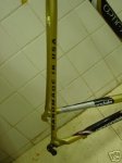 cannondale.JPG
