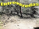 vereda alta_mod_redimensionar.jpg