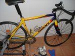 DSC00478.jpg