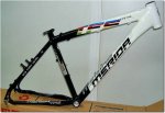 cuadro_merida-tfs.jpg