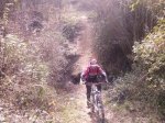 IMG-20130210-WA0009.jpg