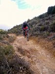 BTT_Enduro Torrelaguna - 11.jpg