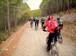 BTT_Enduro Torrelaguna - 16.jpg