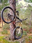 BTT_Enduro Torrelaguna - 21.jpg