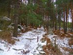 Foto11.JPG