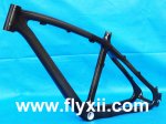 flyxii.JPG