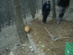 IMG-20130210-WA0013.jpg
