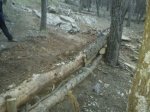 IMG-20130210-WA0014.jpg
