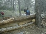 IMG-20130210-WA0015.jpg
