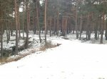 IMG_0534.jpg