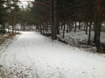 IMG_0535.jpg