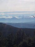 IMG-20130210-WA0009.jpg