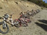 IMG-20130210-WA0029.jpg