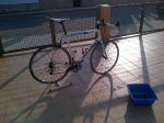 IMG-20120621-00023.jpg