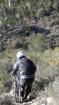 IMG-20130203-WA004.jpg