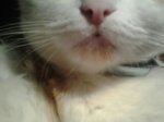 IMG-20130208-WA008.jpg