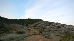 DSCN8024.jpg