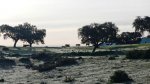 DSCN8059.jpg