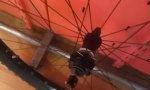 IMAG0808.jpg
