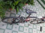 20130213_125204.jpg