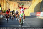 sagan.jpg