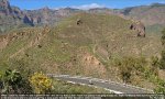 canaria.jpg