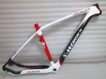 specialized.jpg