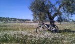 20130214_153857.jpg