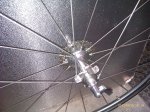 IMAG0807.jpg