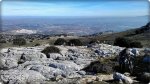 IMG-20130210-WA0015 [800x600].jpg