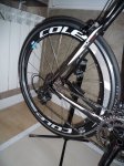 Cole Trasera.jpg