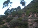 CIMG4442 (Copiar).jpg