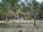 CIMG4500 (Copiar).jpg
