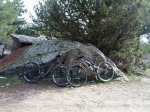 IMG_20130216_115651.jpg