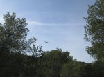 IMG_0466.JPG