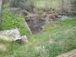 CAM00130.jpg