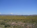 DSCN3519.JPG